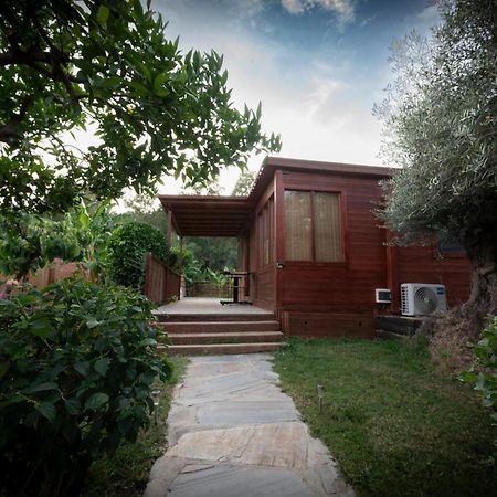 Villa El Jardin Del Eden Orgiva Exterior foto
